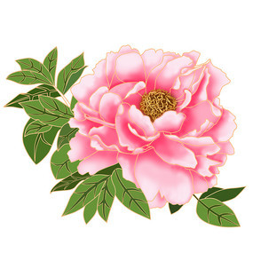 国潮风华 牡丹与芍药元素的文化绽放